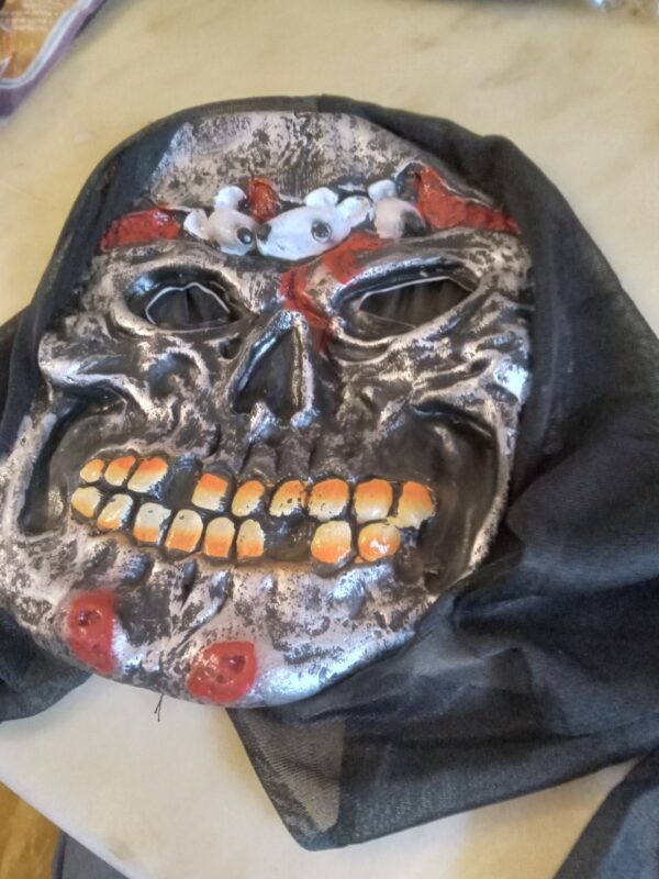 Masque horreur(041) – Image 4