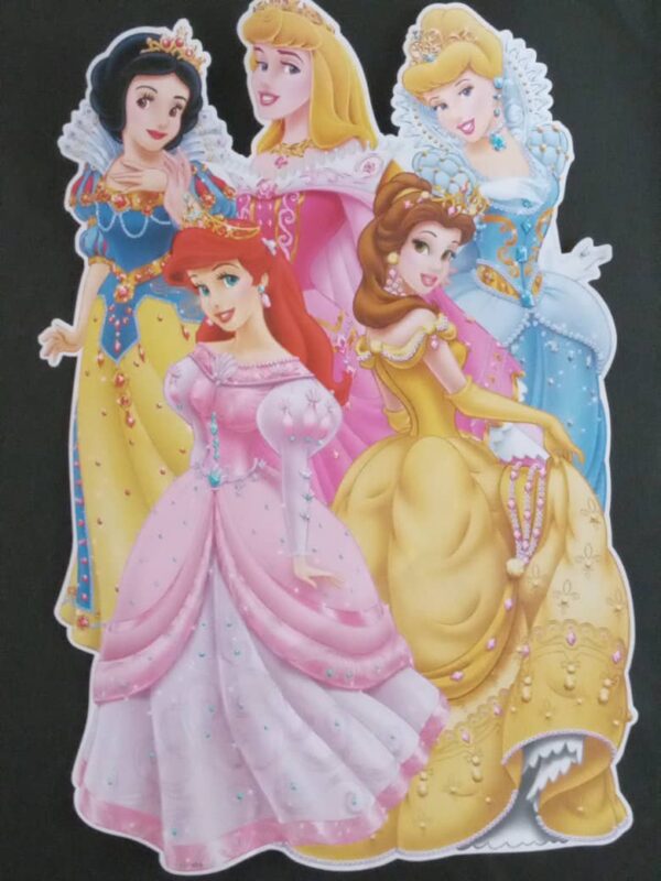 (064) Stikers ou posters -55 cm sur 35 cm. – Image 2