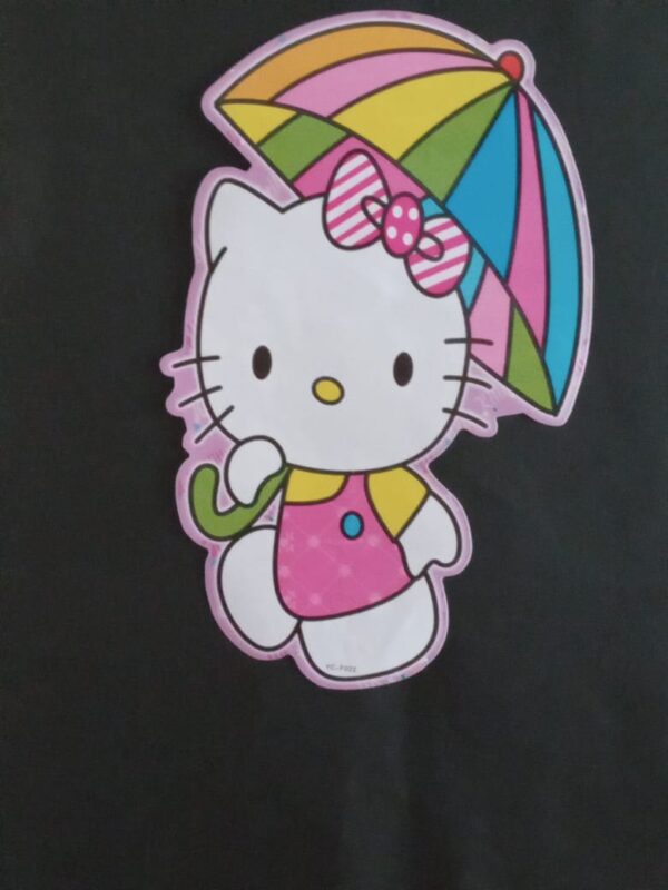 (063) Stickers ou Posters PM. h=35 - l = 22 cm. – Image 13