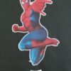 (063) Stickers ou Posters PM. h=35 - l = 22 cm.