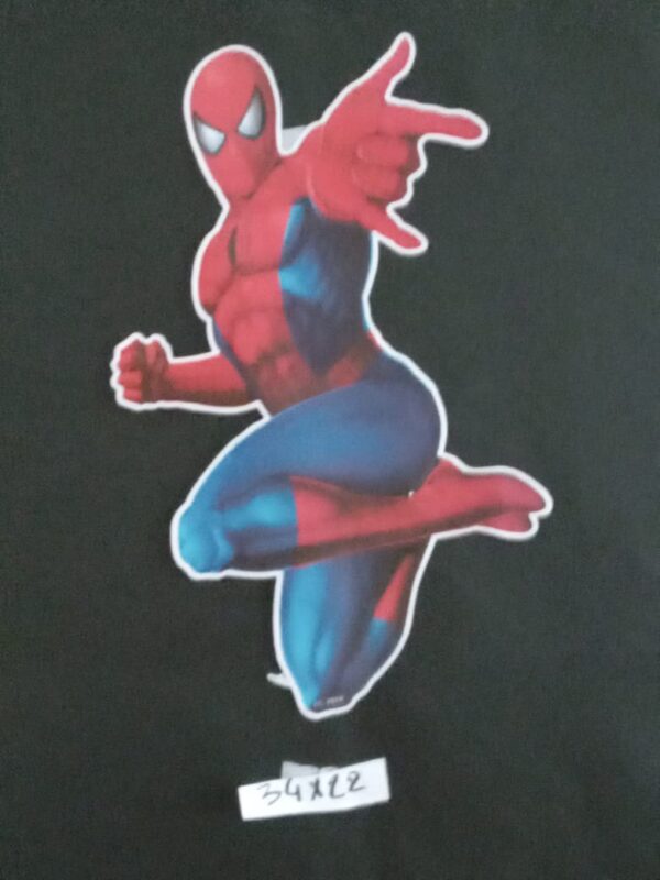 (063) Stickers ou Posters PM. h=35 - l = 22 cm.