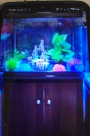 Aquarium ( réservoir à poissons )