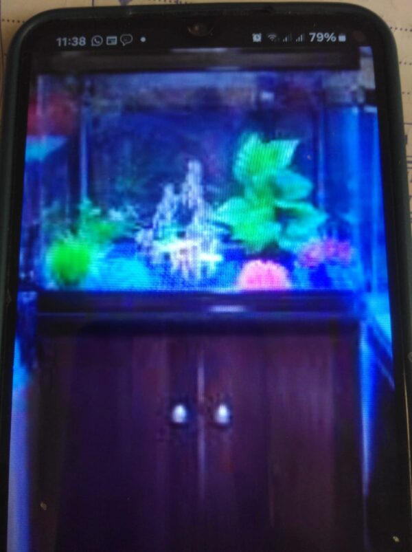 Aquarium ( réservoir à poissons )